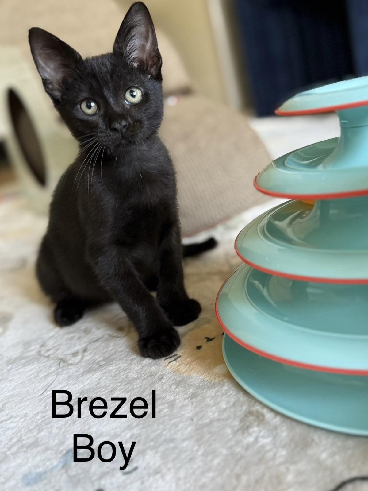 Brezel