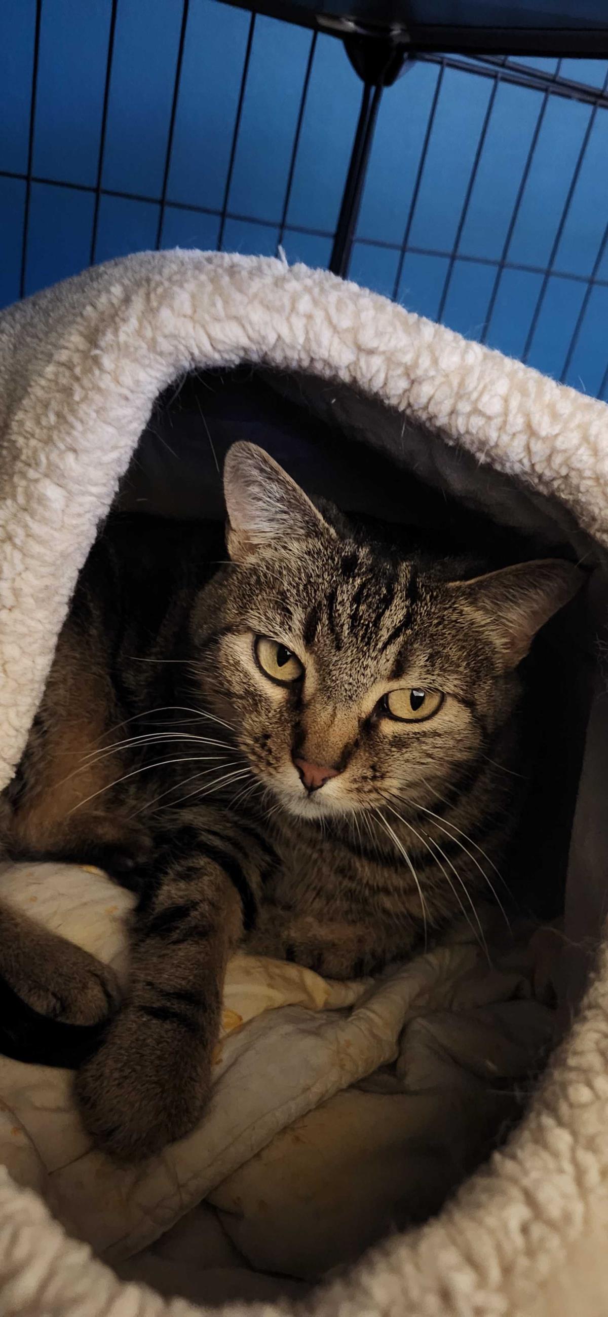 Princess (Fka Alaric)