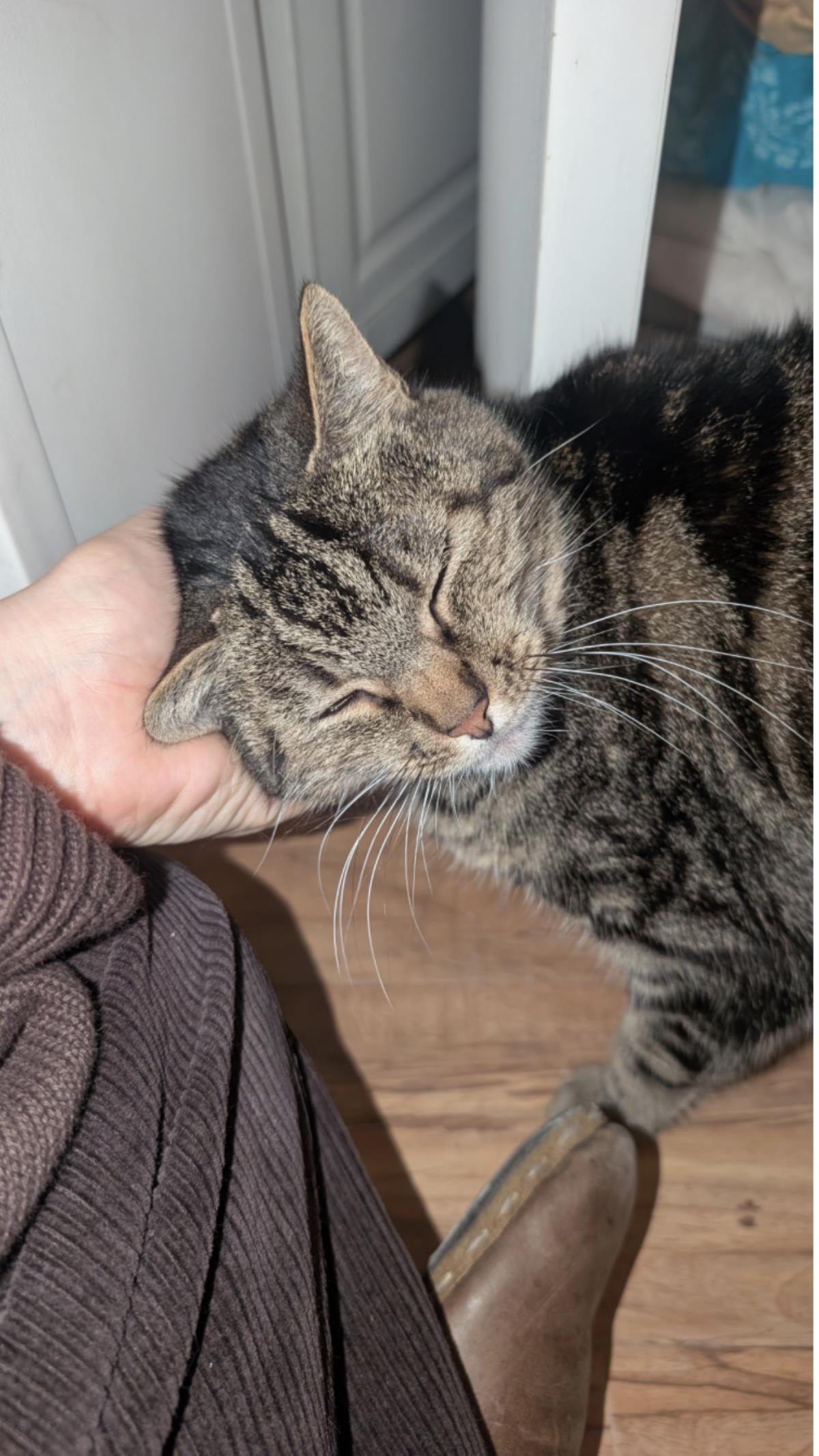 Princess (Fka Alaric)