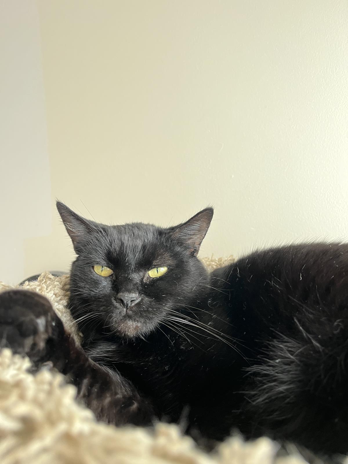 Peggy