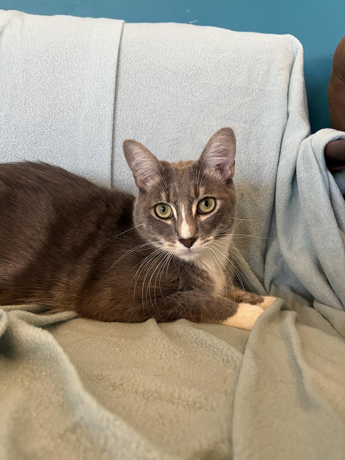 Sammy